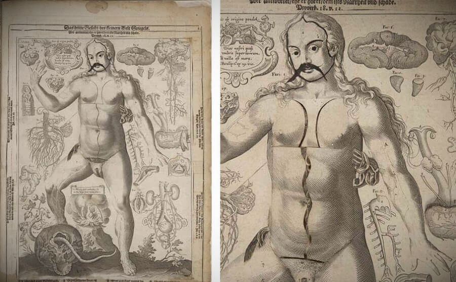 Анатомия старый атлас из 17 - го века | 10
